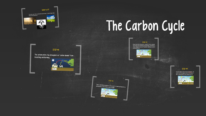 The Carbon Cycle by Rebeca Muniz on Prezi