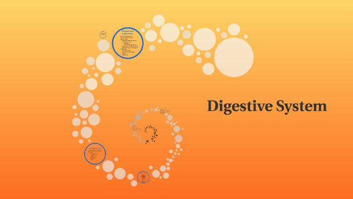 Digestive System by Anesha Lewis on Prezi