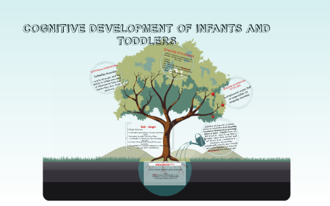 what is cognitive development of infants and toddlers