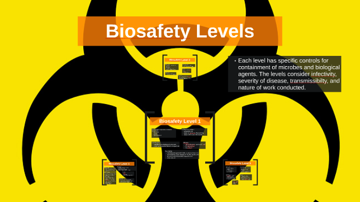 Biosafety Levels by Hanna Chang