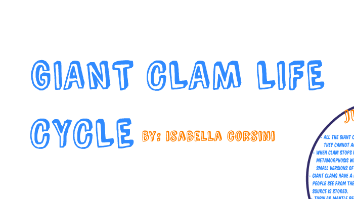 giant clam life cycle