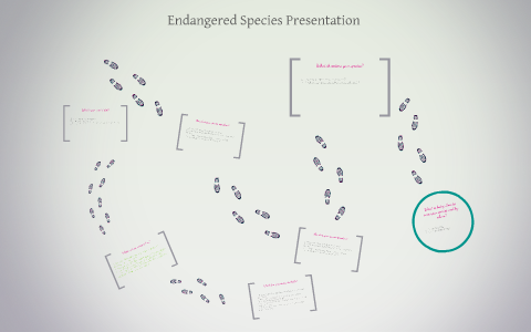 Endangered Species Presentation by Jane Turk on Prezi