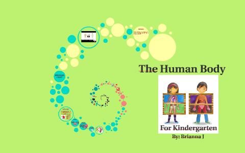 The Human Body by Brianna J on Prezi