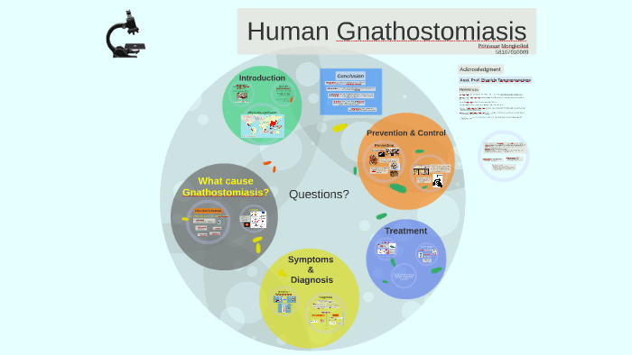 Human Gnathostomiasis By Pangmee Mongkolkul