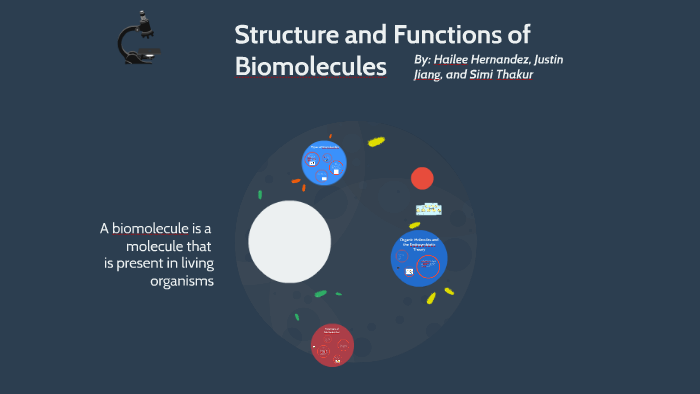 Structure and Functions of Biomolecules by Hailee Hernandez on Prezi