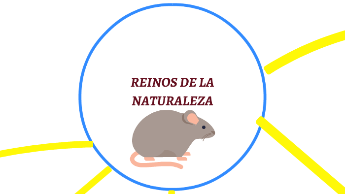 REINOS DE LA NATURALEZA by Hernan Jose Zepeda Castro on Prezi