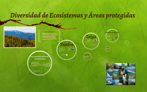 Diversidad De Ecosistemas Y Áreas Protegidas By Chava Salazar On Prezi