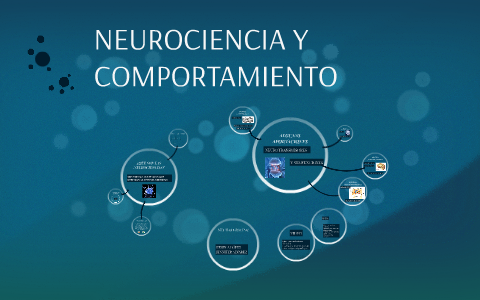 NEUROCIENCIA Y COMPORTAMIENTO by Rebeca Lopez on Prezi