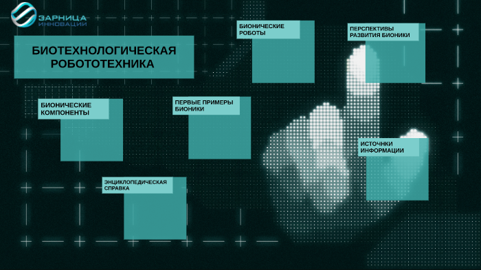 Биомеханиканы робототехникада қолдану презентация