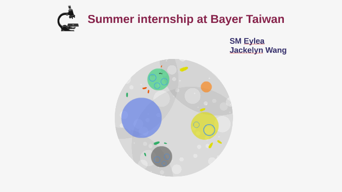 Summer Internship At Bayer Taiwan By Jackelyn Wang On Prezi Next