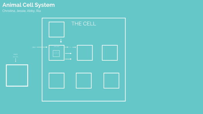 Animal Cell System Project by Christina E on Prezi