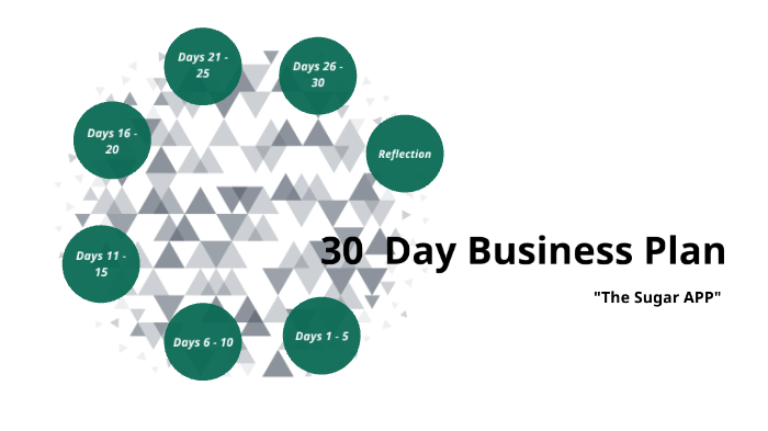 30 day business plan