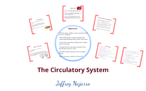 The Circulatory System by Jeffrey Najarro on Prezi