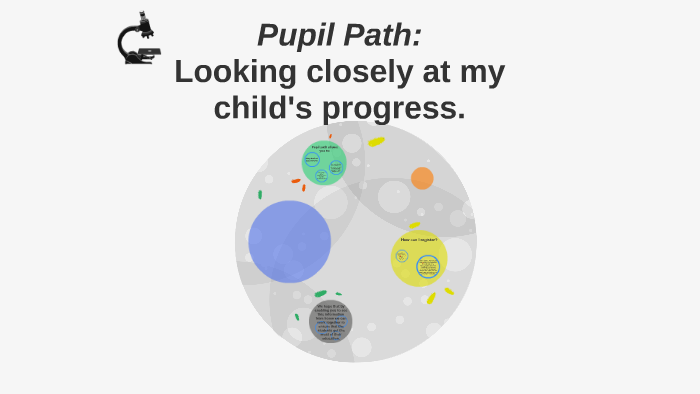 pupil path sign in