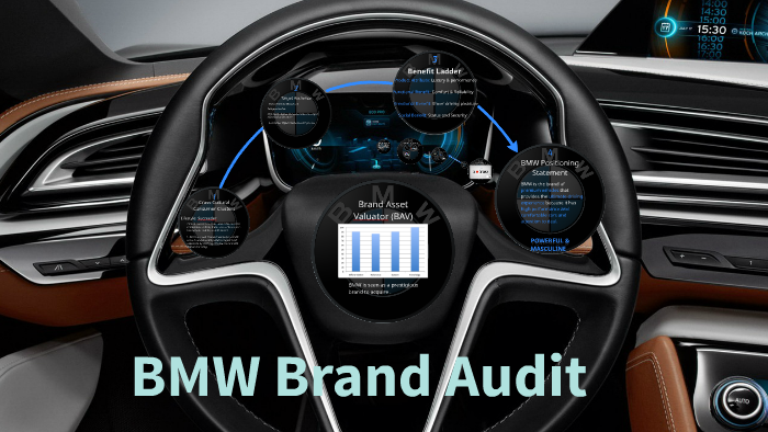 Bmw audit system