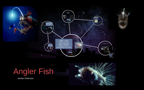 Angler Fish by Jordan Leigh Robinson on Prezi