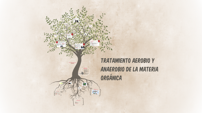 TRATAMIENTO AEROBIO Y ANAEROBIO DE LA MATERIA ORGÁNICA by Nanno Gómez ...