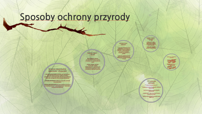 Sposoby ochrony przyrody by zofia mieszczanowska on Prezi