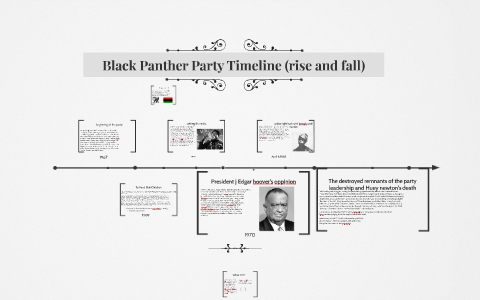 Black Panthers, HISTORY , Definition & Timeline