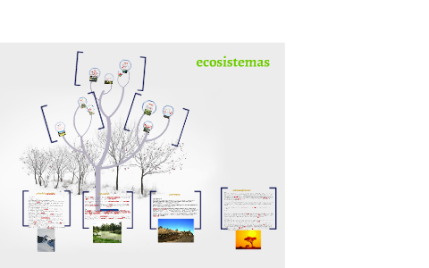 estructura de ecosistema: by hector dominguez on Prezi