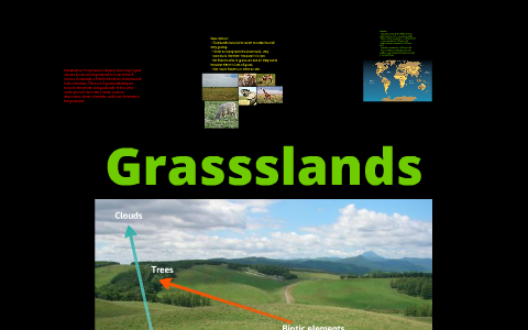 Grade 7 Biome project ( grasslands) by shivam patel on Prezi