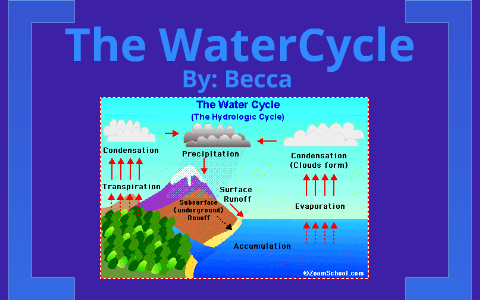 the water cycle by rebecca pritchett on Prezi