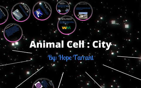 Animal Cell : City by Odette Tande-Salvatrix on Prezi