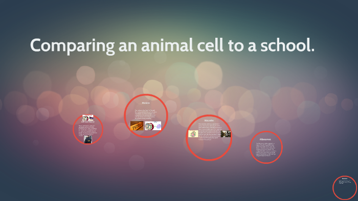Comparing an animal cell to a school by katelyn neve on Prezi