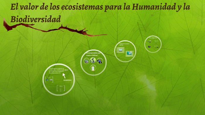 El valor de los ecosistemas para la Humanidad y la Biodivers by Reyna ...