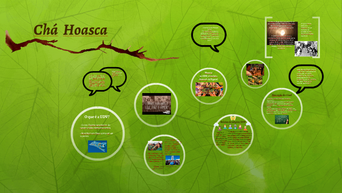 Cha Hoasca By Joana Inacio Nery prezi