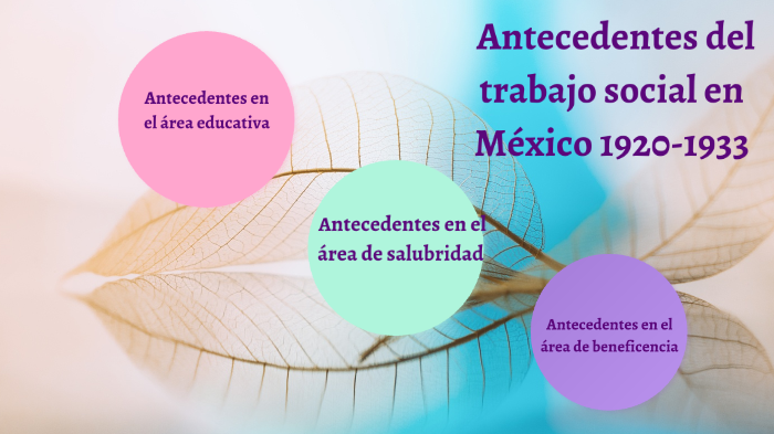 TRABAJO SOCIAL by Denisse alvarado on Prezi