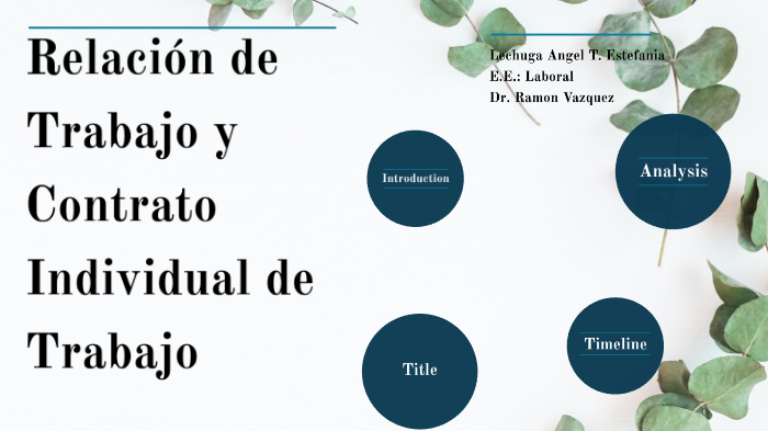 semejanzas entre contrato de trabajo y relación de trabajo by estefania
