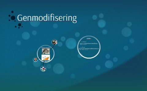 Genmodifisering By Eydis Bjerg On Prezi genmodifisering-by-eydis-bjerg-on-prezi