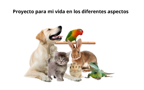 Mi proyecto de vida by Rodrigo Alberto Cardona Calderon on Prezi
