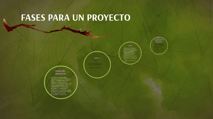 FASES PARA UN PROYECTO by marcela calvo on Prezi