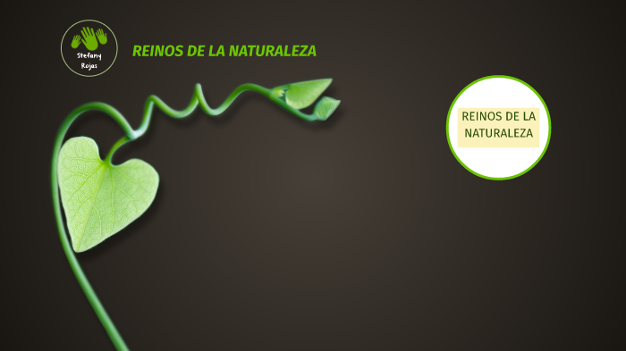 REINOS DE LA NATURALEZA by stefany rojas on Prezi