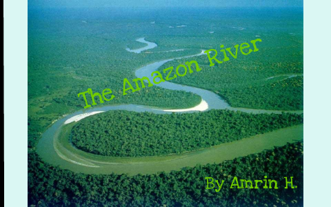 The Amazon River by saira haque on Prezi