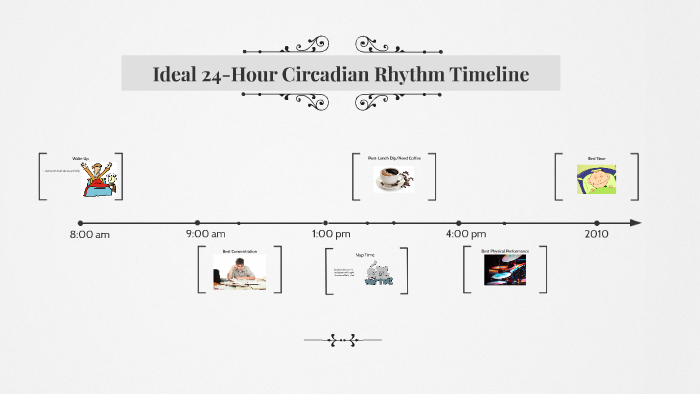 Ideal 24-Hour Circadian Rhythm Timeline by Cody Norton-Steeple on Prezi