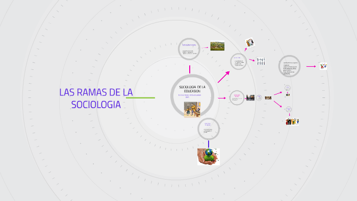 LAS RAMAS DE LA SOCIOLOGIA by marisela gonzalez