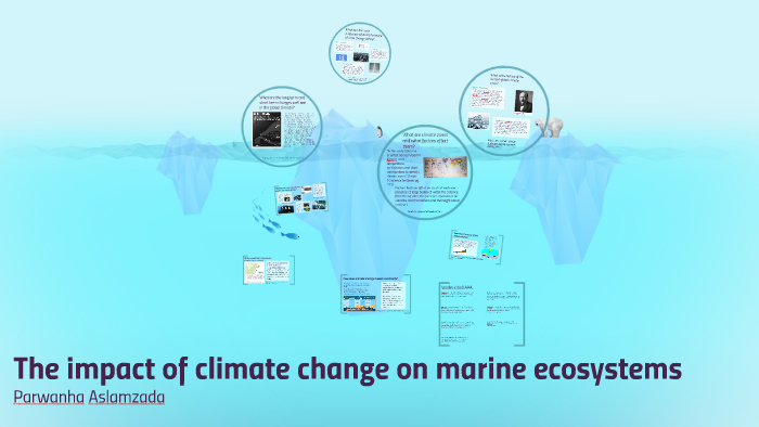 The impact of climate change on marine ecosystems by Parwanha Aslamzada ...