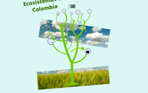 ECOSISTEMAS DE COLOMBIA by Andres Agudelo on Prezi