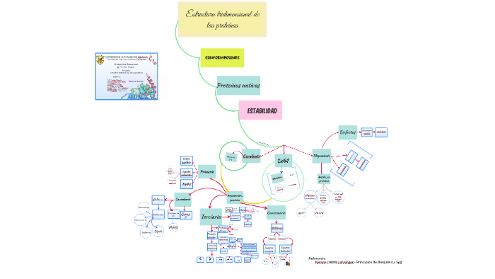 Estructura Tridimensional de las Proteínas by Anahí Martínez