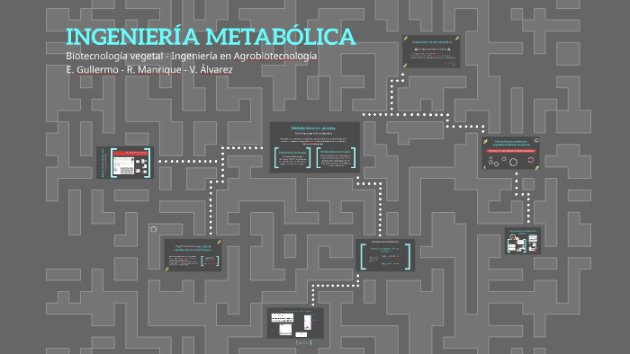 Ingeniería metabólica by Rodrigo Manrique on Prezi