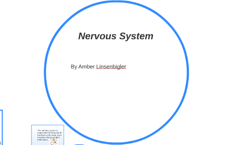 Nervous System by on Prezi