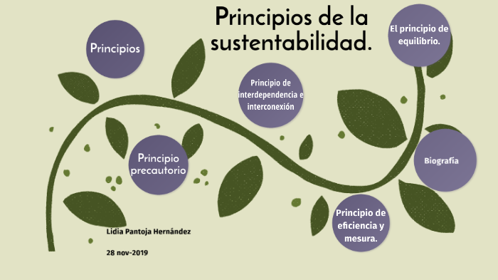 Principios De Sustentabilidad Mapa Mental Porn Sex Pi