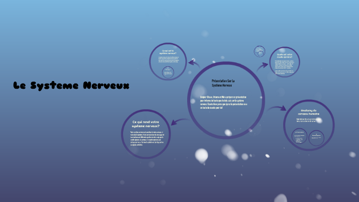 Le Systeme Nerveux by Brianna Swaby on Prezi