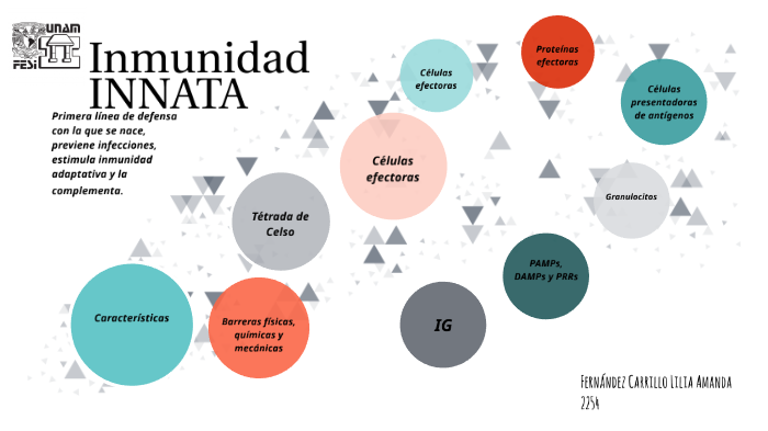 Inmunidad Innata By Lilia Amanda Fernandez Carrillo On Prezi 4526