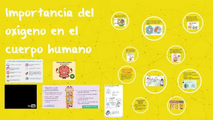 Importancia del oxígeno en el cuerpo humano by Johanna Acosta on Prezi