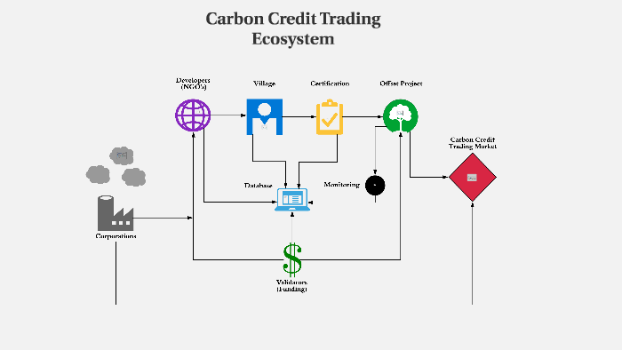 accounting for carbon credits