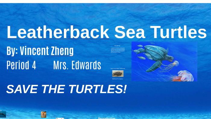 Leatherback Sea Turtle Endangered Project by Vincent Zheng on Prezi